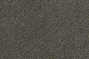 Kleur leder: Ash