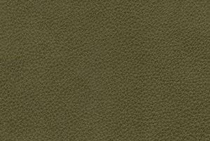 Kleur leder: Moss