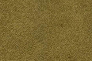 Kleur leder: Granada Olive