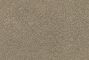 Kleur leder: Granada Taupe