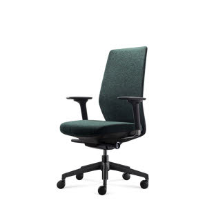 Kleur bekleding: Donkergroen