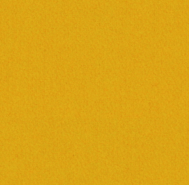 Facet Kleur: Facet Maize 22