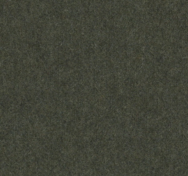 Facet Kleur: Facet Olive 53