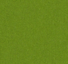Facet Kleur: Facet Pistachio 52